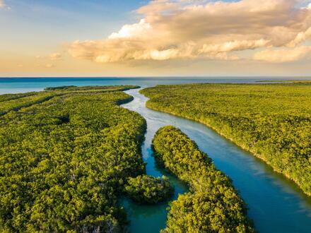 Rundreisen USA - Florida: Sonne, Natur & Abenteuer Unkategorisiert online kaufen Rundreisen USA - Florida: Sonne, Natur & Abenteuer Unkategorisiert online kaufen