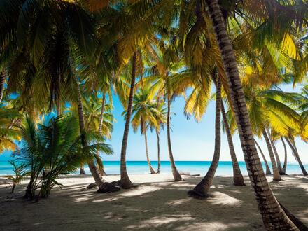 15 Tage Flugreisen Dominikanische Republik - Juan Dolio: Vom grünen Inselherz bis zu entspannten Tagen am Karibikstrand